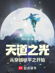 天道之光从穿越林平之开始