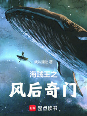 海贼王之风后奇门