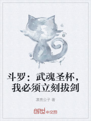 斗罗：武魂圣杯，我必须立刻拔剑