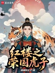 红楼之荣国虎子