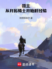 领主：从开拓骑士开始肝经验