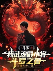 斗罗：我堕落天使，武魂殿之主！
