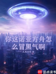 你这诺亚方舟怎么冒黑气啊