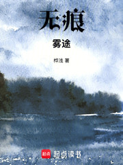 无痕：雾途