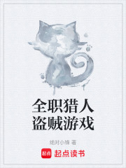 全职猎人盗贼游戏
