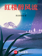 红楼醉风流