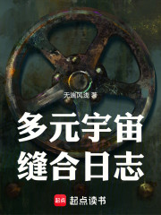 多元宇宙缝合日志