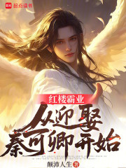 红楼霸业：从迎娶秦可卿开始