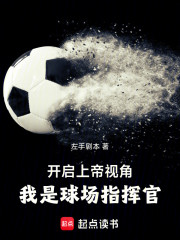 足球：上帝视角，我是球场指挥官