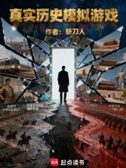 真实历史模拟游戏