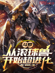 斗罗：从滚球兽开始超进化