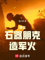 我在石器朋克造军火