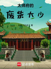 太师府的废柴大少