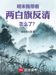 明末：我带着两白旗反清怎么了？