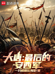 大唐：最后的安西军