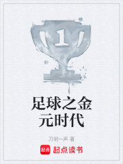 足球之金元时代
