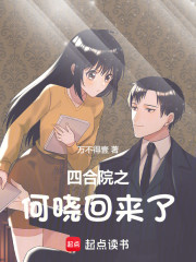 四合院之何晓回来了