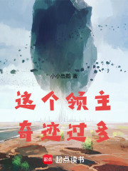 这个领主奇迹过多