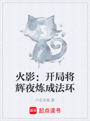 火影：开局将辉夜炼成法环