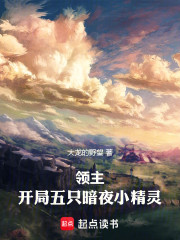 领主：开局五只暗夜小精灵