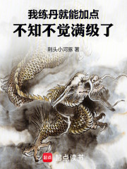 我炼丹就能加点，不知不觉满级了