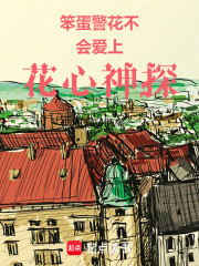 笨蛋警花不会爱上花心神探