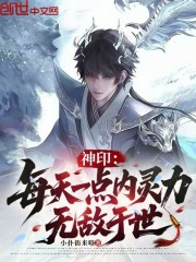 神印：每天一点内灵力，无敌于世