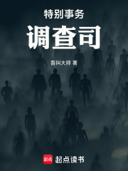 特别事务调查司