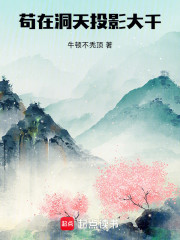 苟在洞天，投影大千