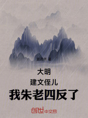 大明：建文侄儿，我朱老四反了
