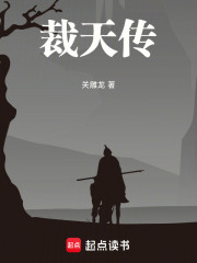 裁天传