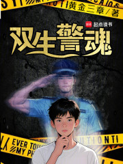 双生警魂
