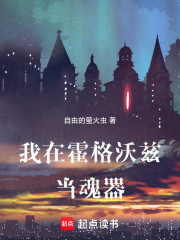 我在霍格沃兹当魂器