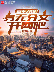 重生2001：身无分文开网吧