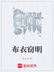 布衣窃明