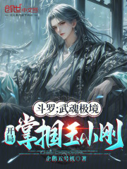 斗罗：武魂极境，开局掌掴玉小刚