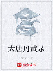 大唐丹武录
