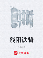 残阳铁骑