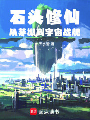 石头修仙，从茅棚到宇宙战舰