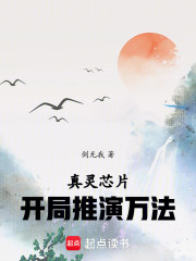 真灵芯片：开局推演万法