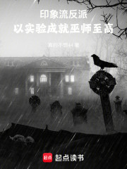 印象流反派：以实验成就巫师至高