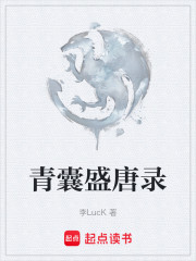 青囊盛唐录