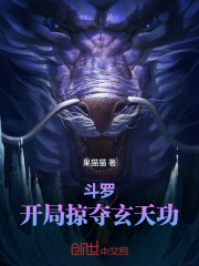 斗罗：开局掠夺玄天功