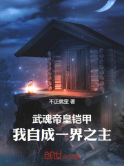 武魂帝皇铠甲，我自成一界之主