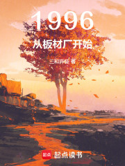 1996：从板材厂开始