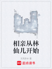 相亲从林仙儿开始