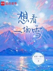 想看一场雪