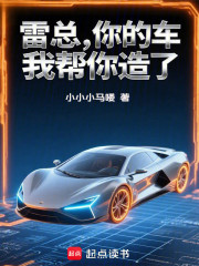 雷总，你的车我帮你造了