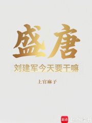 盛唐：刘建军今天要干嘛