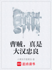 我曹贼，真是大汉忠臣